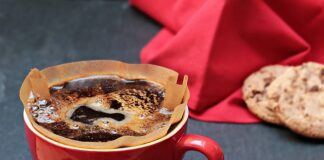 Czy filtr ma być cały zanurzony w akwarium?