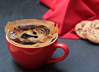 Czy filtr ma być cały zanurzony w akwarium?