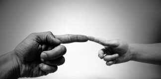 Czy można dotykać ślimaki?