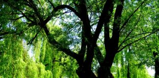 Gdzie warto popłynąć na Mazurach?