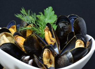 Jakie zwierzęta należą do skorupiaków?