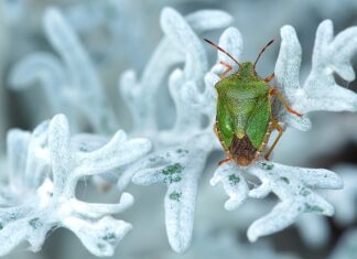 Jak pozbyć się smrodu z butów sportowych?