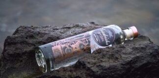 W jakiej temperaturze giną ślimaki?