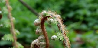 Jak wyprostować żyłkę wędkarska?