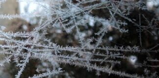 Czy matę chłodząca można mrozić?