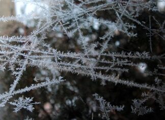 Czy matę chłodząca można mrozić? Czy matę chłodząca można mrozić?