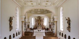 Jaka jest różnica między majerankiem a oregano? Jaka jest różnica między majerankiem a oregano?