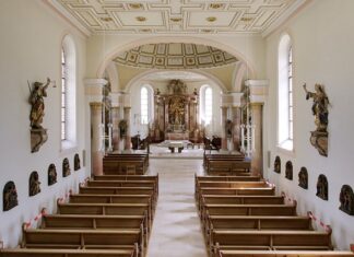 Jaka jest różnica między majerankiem a oregano?