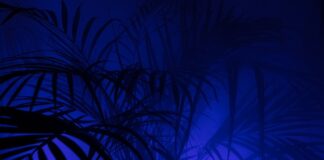 Do czego beżowe legginsy? Do czego beżowe legginsy?