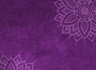 Ile wynosi mandat za psa bez smyczy? Ile wynosi mandat za psa bez smyczy?