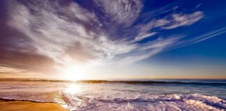 Co dać pod piasek w akwarium?