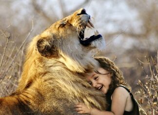 Jaka jest najlepsza matcha? Jaka jest najlepsza matcha?