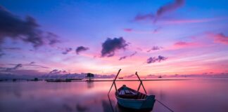 Jaki kolor żyłki na okonia?