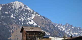 Jak wyciszyć psa? Jak wyciszyć psa?