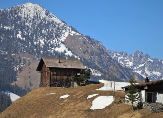 Jak wyciszyć psa? Jak wyciszyć psa?