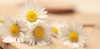 Ile PPM ma woda mineralna? Ile PPM ma woda mineralna?