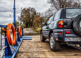 Jak przewozić psa w samochodzie żeby nie dostać mandatu? Jak przewozić psa w samochodzie żeby nie dostać mandatu?