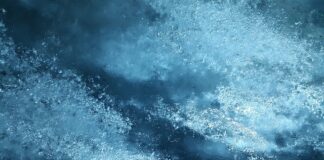 Czy matchę trzeba trzymać w lodówce?